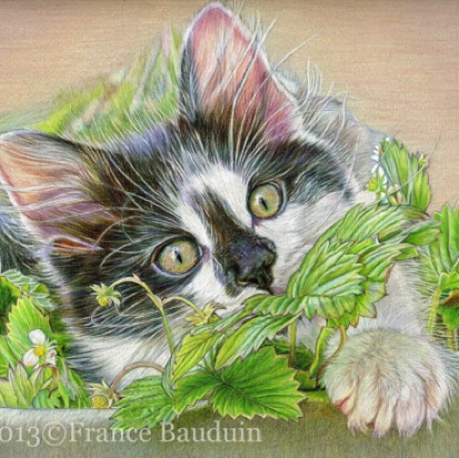 Melvyn (68 days) in strawberries
Daler-Rowney Pastel Paper
9" x 12"
From Laila's 2nd litter Melvyn (68 days) in strawberries
Daler-Rowney Pastel Paper
9" x 12"
From Laila's 2nd litter